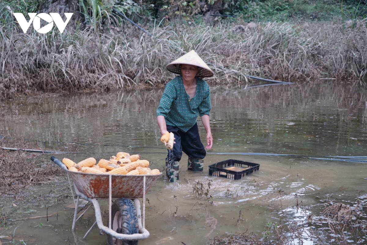 loi bun, vuot lu den voi hoc sinh cao bang hinh anh 2