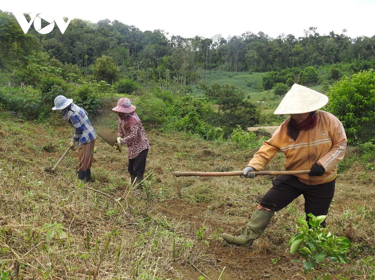 kon tum phan dau de tat ca ho ngheo deu co dat o va dat san xuat hinh anh 2