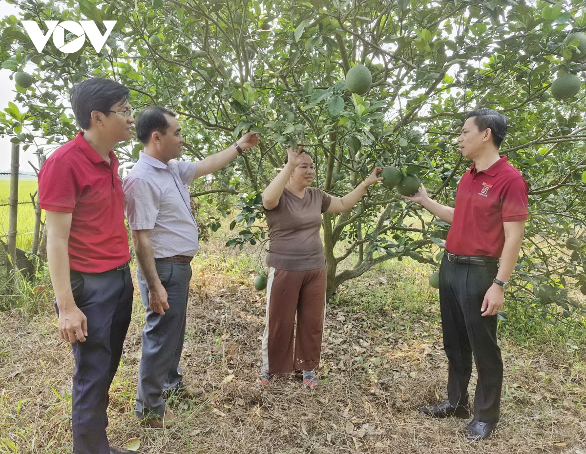 Nông dân Quảng Nam mạnh dạn vay vốn kinh doanh, vươn lên làm giàu