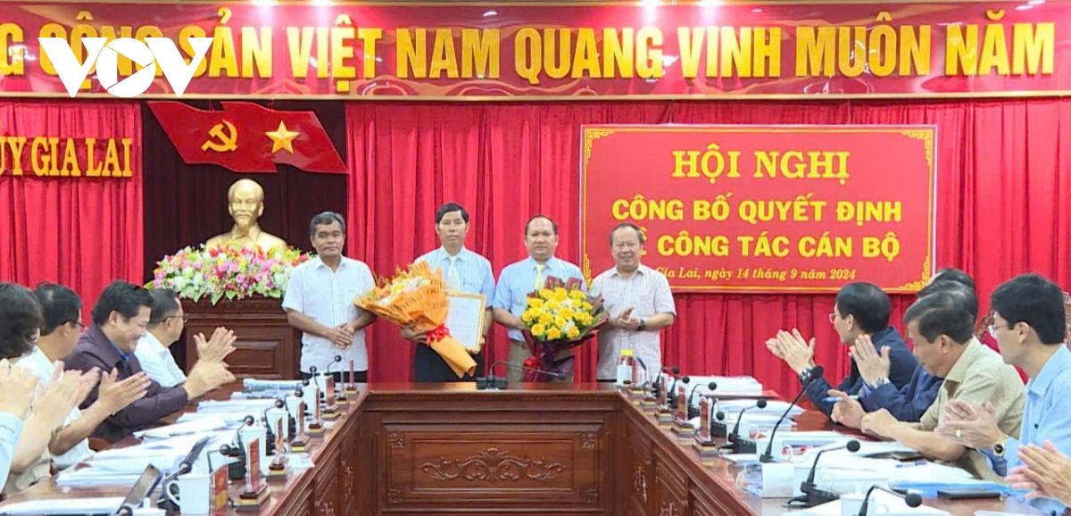 cong bo cac quyet dinh ve cong tac can bo tai gia lai hinh anh 1