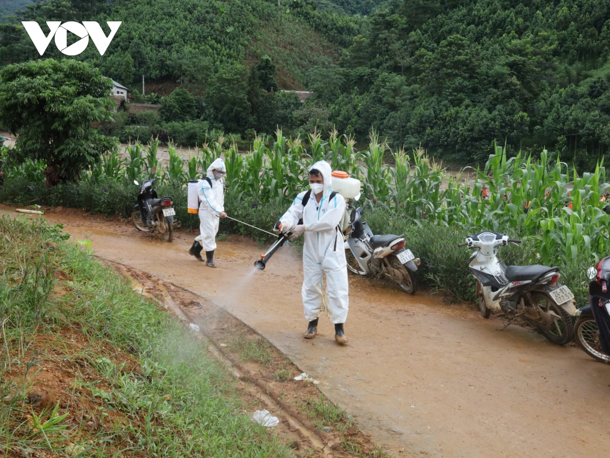 lao cai quyet tam khong de bung phat dich benh sau mua lu hinh anh 1