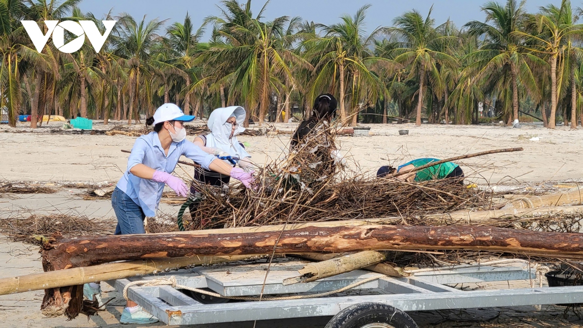 don rac sau sieu bao yagi, cau chuyen cua nguoi dan quang ninh hinh anh 4