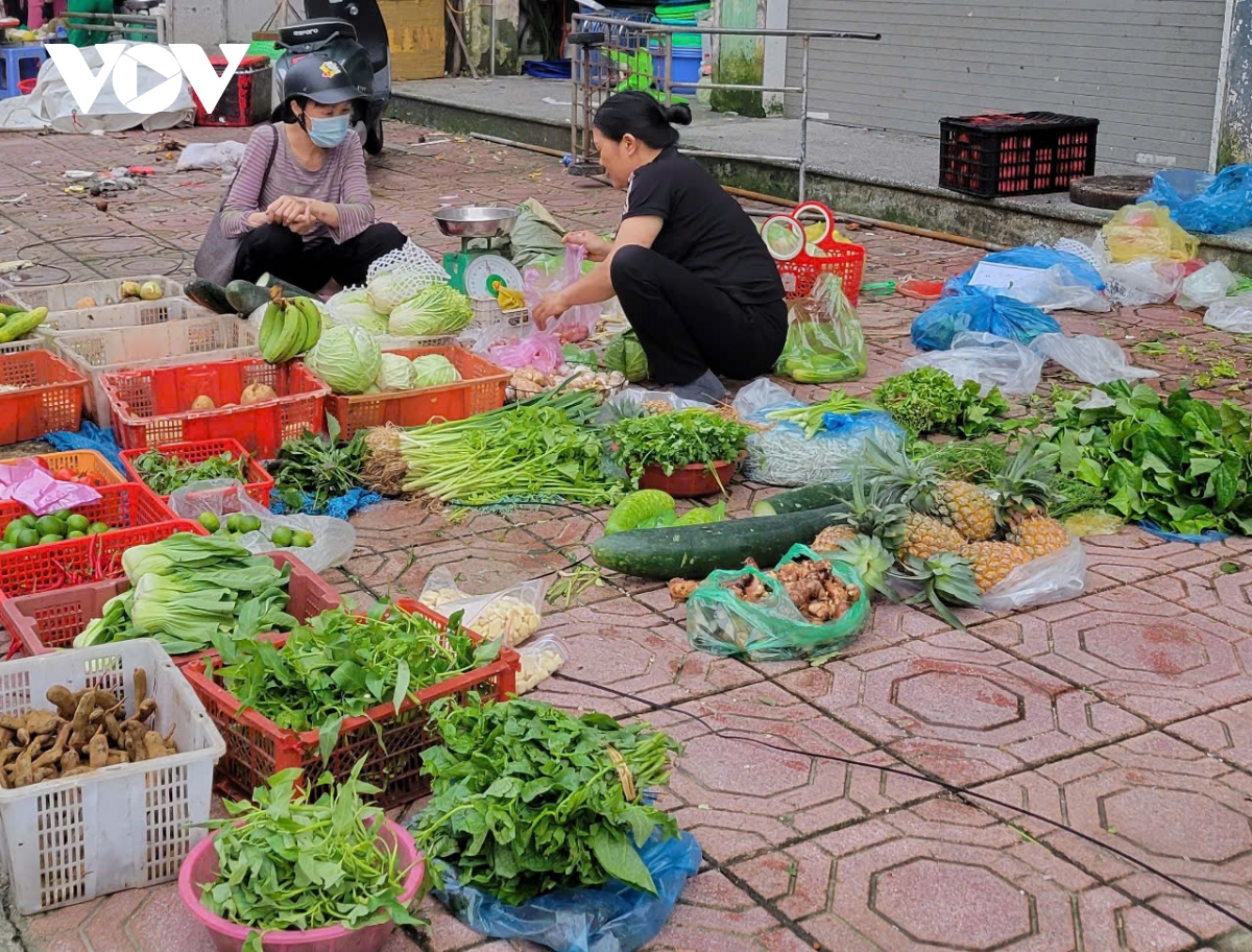 hang hoa e am, rau xanh tang gia tai ha long, quang ninh sau bao yagi hinh anh 1