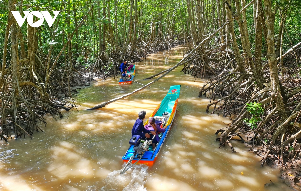 check-in nhung dia diem ua thich tai mui dat ca mau hinh anh 9