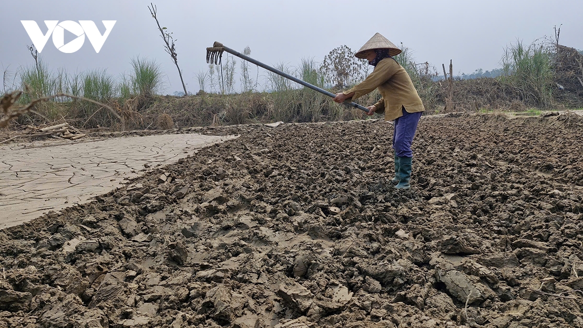 gian nan khoi phuc vua rau sau lu o yen bai hinh anh 1