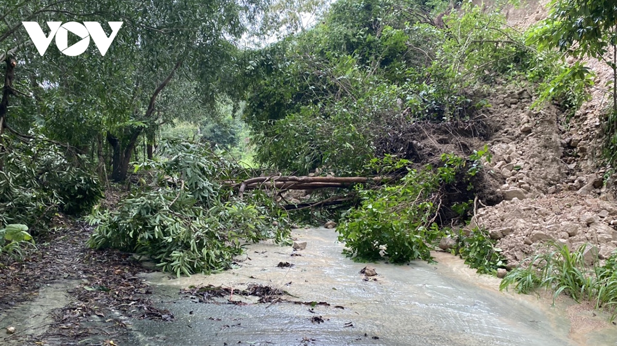 ngap cuc bo, sat lo duong quanh dao tai xa dao an son, huyen kien hai, kien giang hinh anh 1