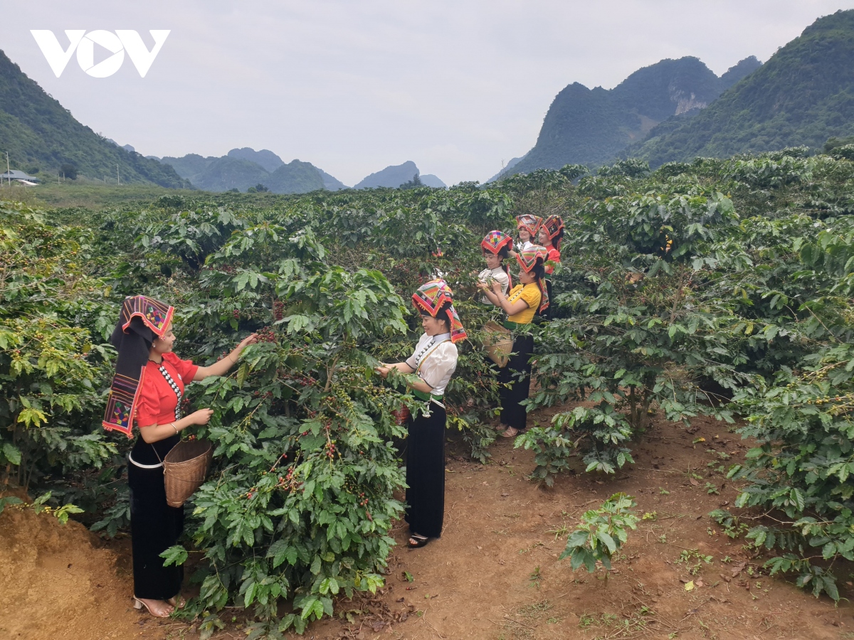 Sơn La phấn đấu giảm hộ nghèo trong đồng bào dân tộc thiểu số