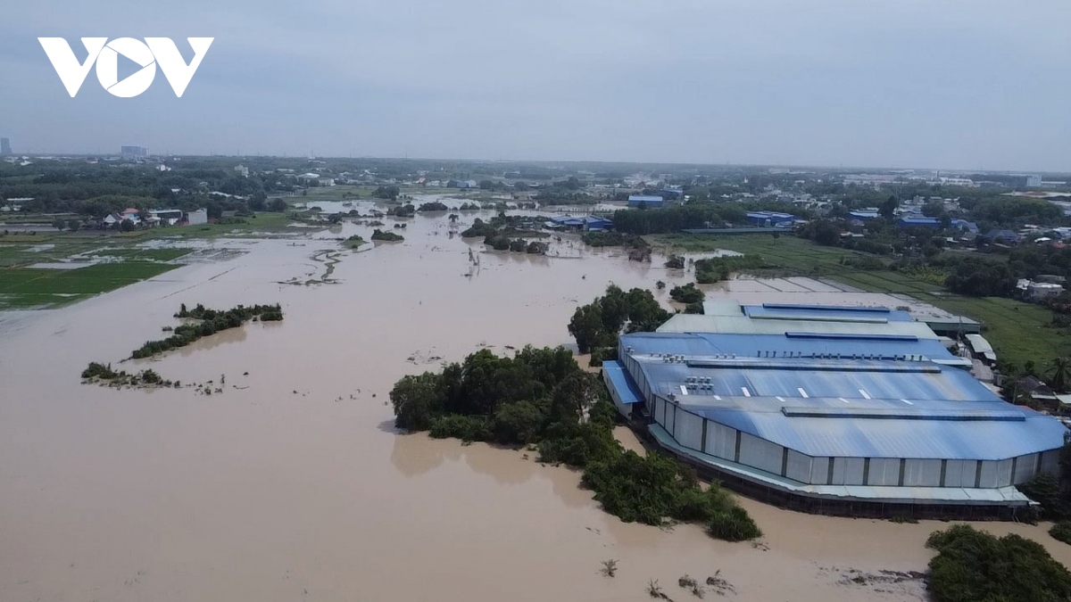 du an chong ngap sieu khung o binh duong nang muc dau tu hinh anh 2