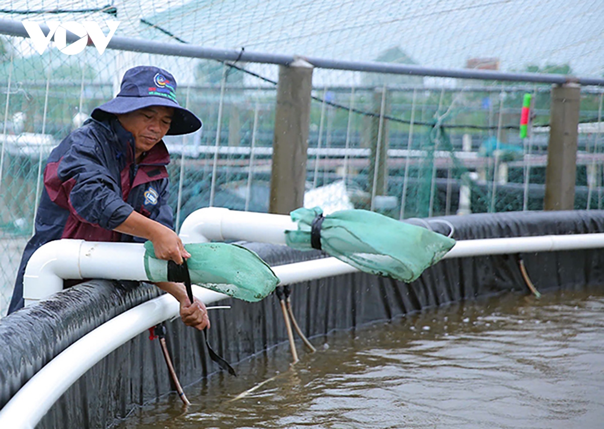 hon 34.000 hecta lua va hoa mau o ninh binh co nguy co anh huong do bao so 3 hinh anh 1