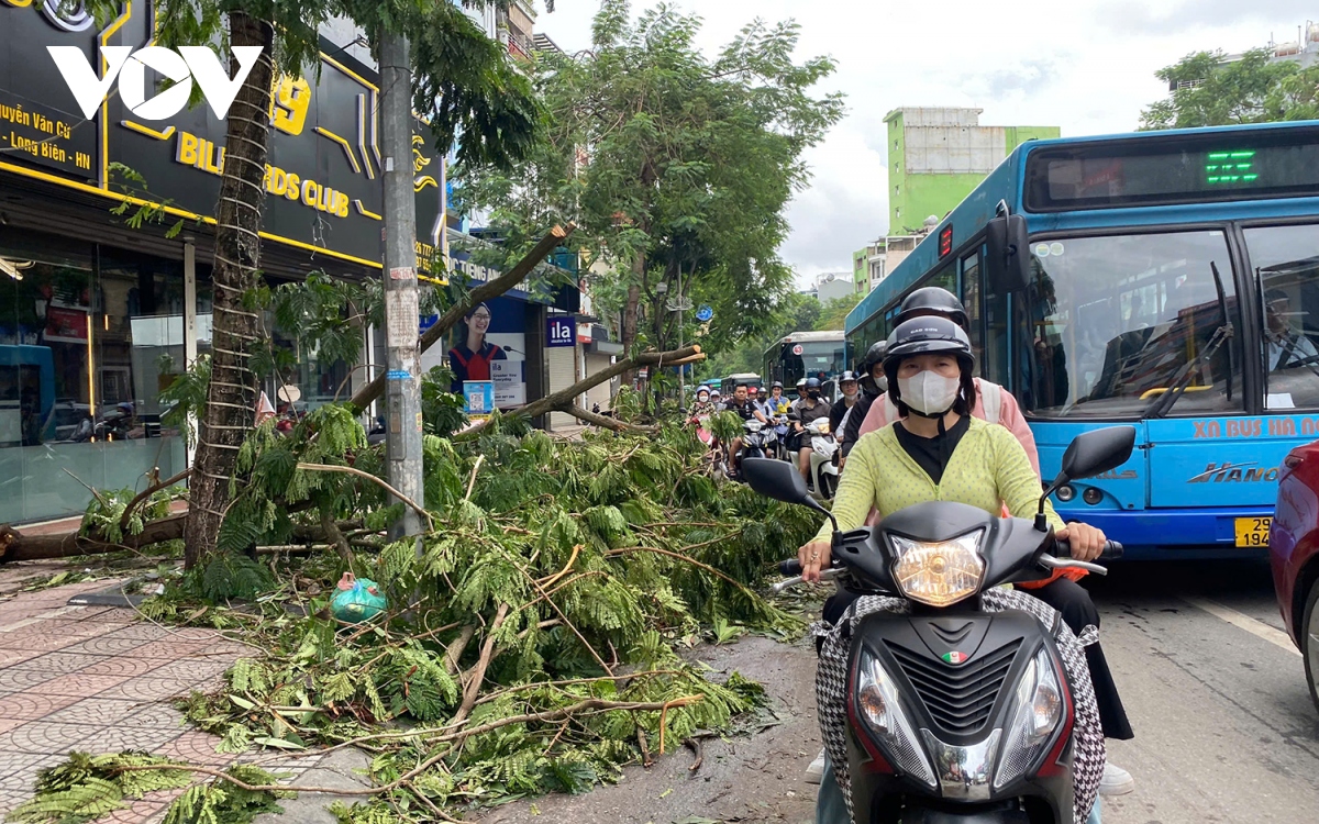 cay do gay can tro giao thong, nhieu duong pho ha noi un tac trong sang dau tuan hinh anh 13