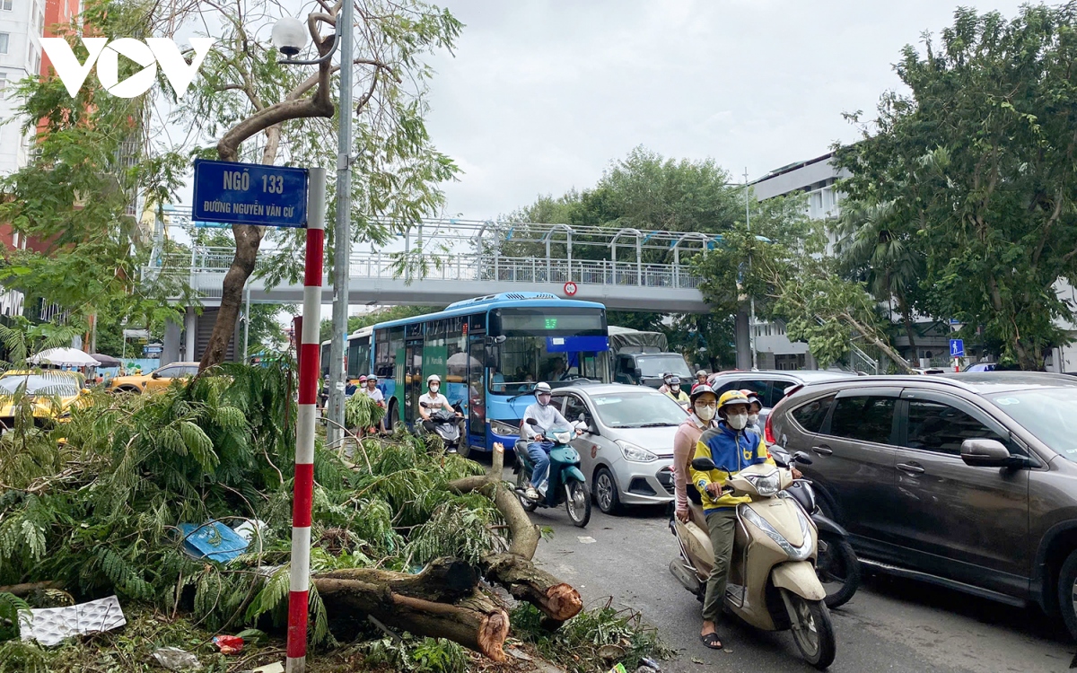 Cây đổ gây cản trở giao thông, nhiều đường phố Hà Nội ùn tắc trong sáng đầu tuần