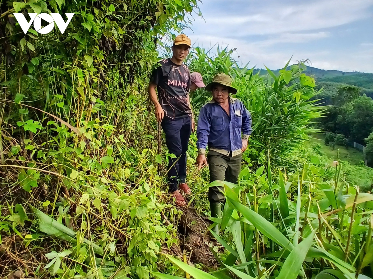 Xuất hiện vết nứt núi ở Phước Sơn, Quảng Nam khẩn cấp di dời 18 hộ dân