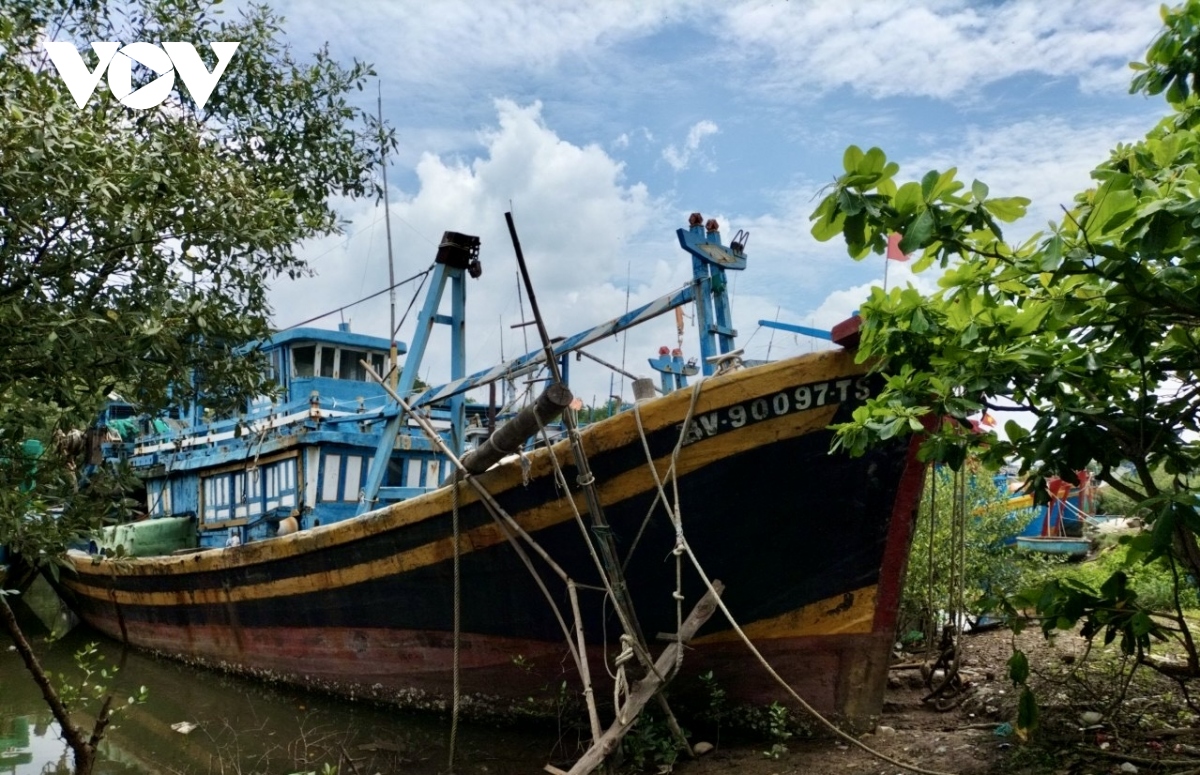 ba ria vung tau da xoa dang ky 379 tau ca hinh anh 1