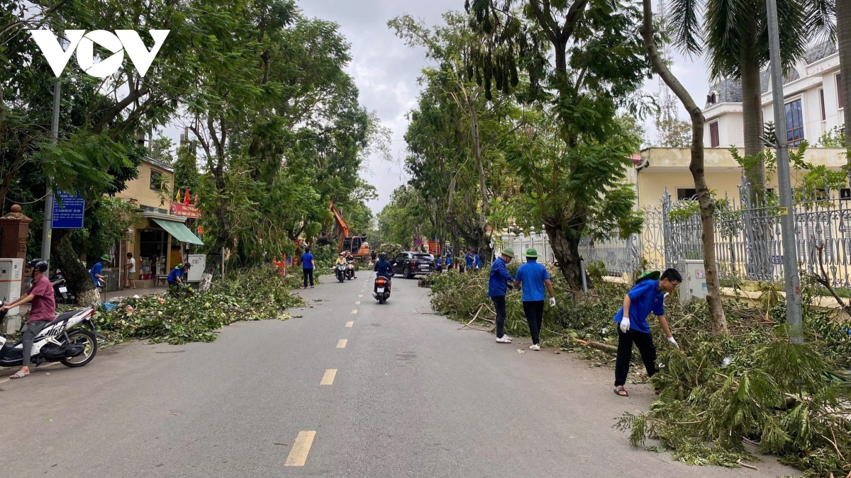 60 - 80 nguoi dan hai phong da duoc cap dien, nuoc, mang vien thong hinh anh 2