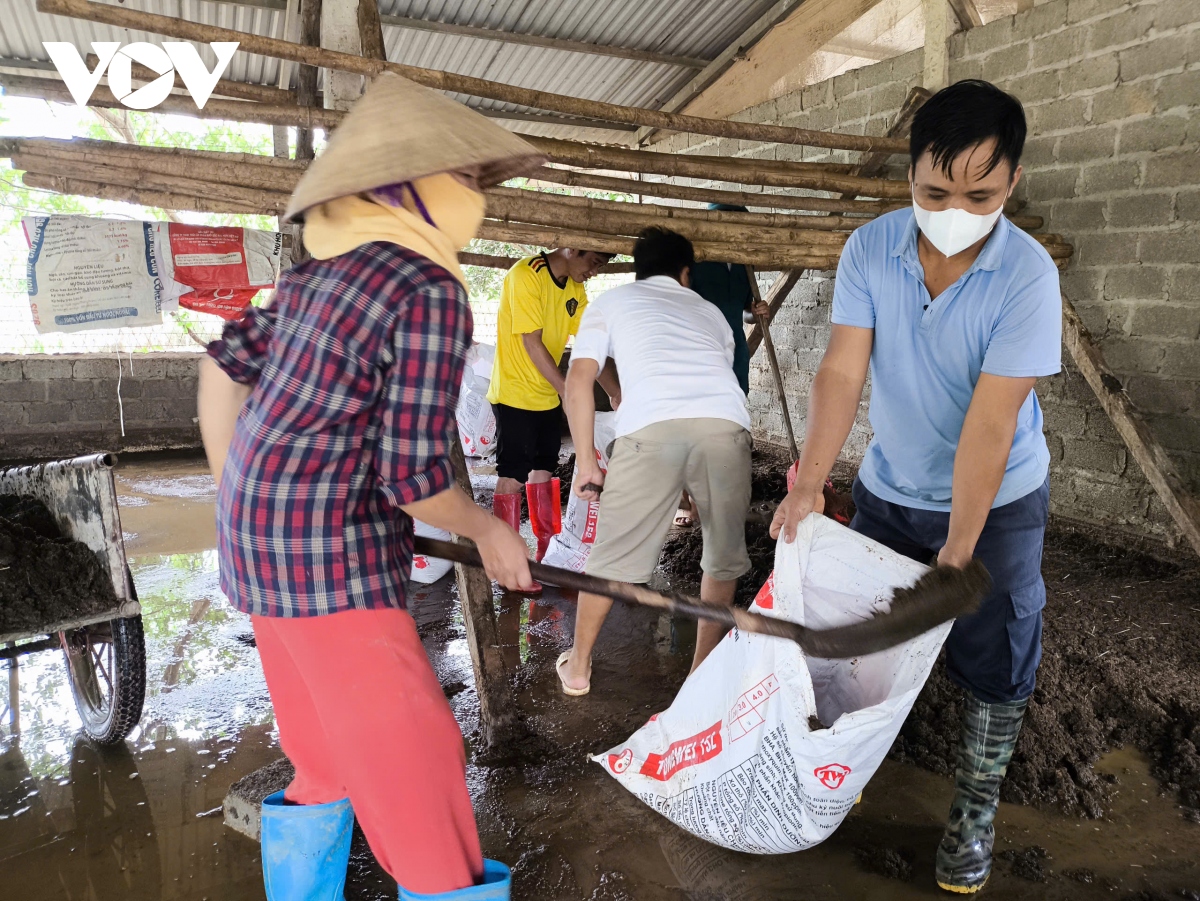 Khẩn trương khôi phục sản xuất nông nghiệp sau bão lũ tại Thái Nguyên