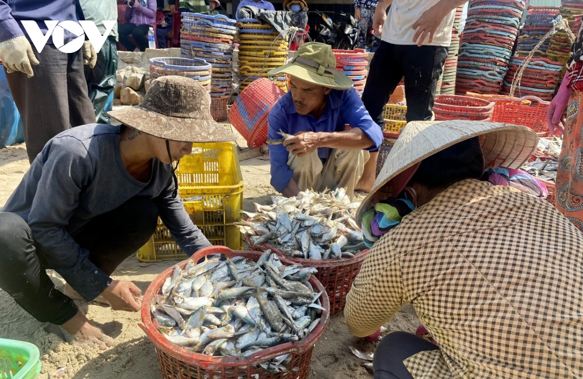 ngu dan ba ria vung tau da nang cao y thuc trong viec go the vang cua ec hinh anh 2