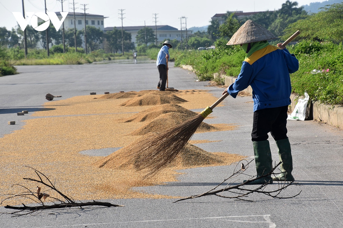 Xử phạt 4 doanh nghiệp xuất khẩu lao động