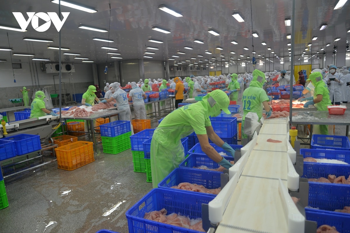 vi sao doanh nghiep chua man ma khi dau tu vao vung Dbscl hinh anh 3