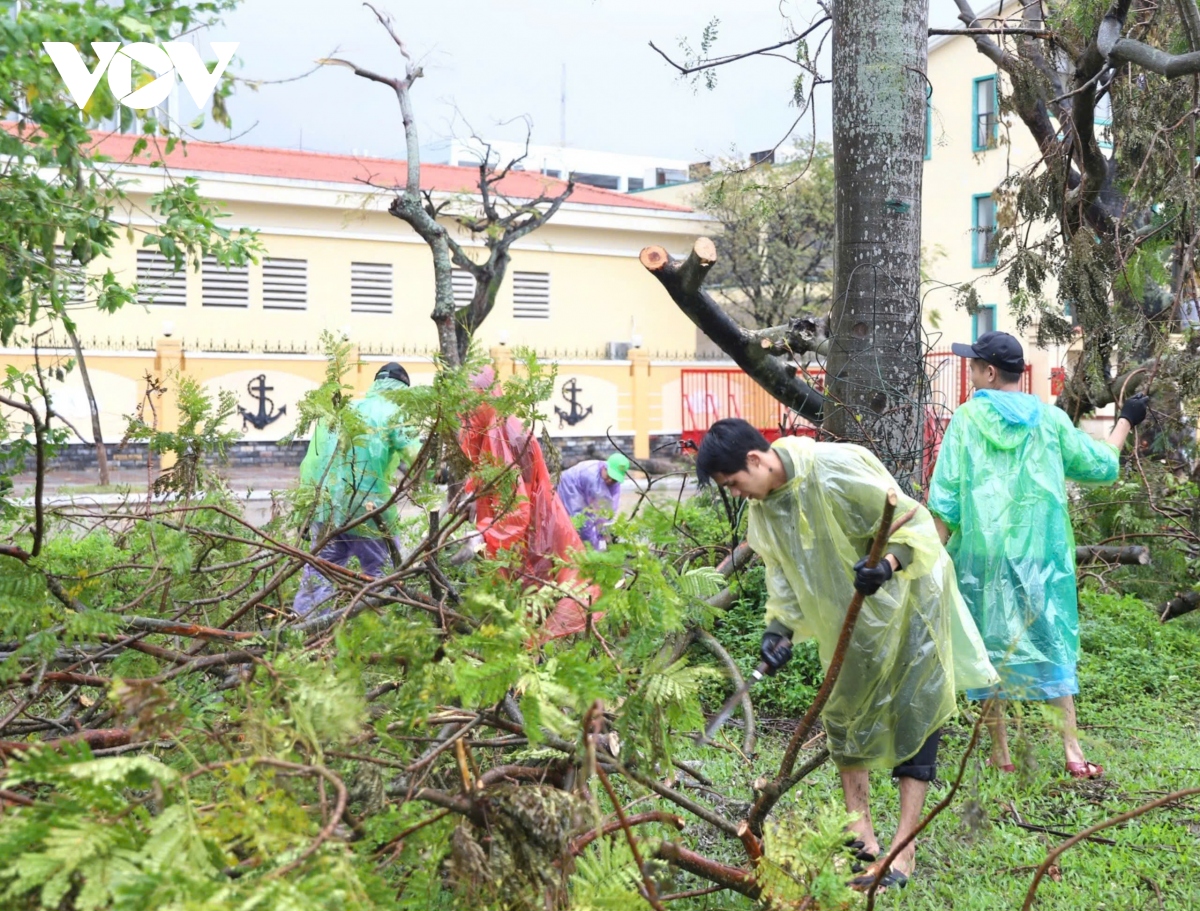 dau chan tinh nguyen sau bao so 3 tai hai phong hinh anh 2