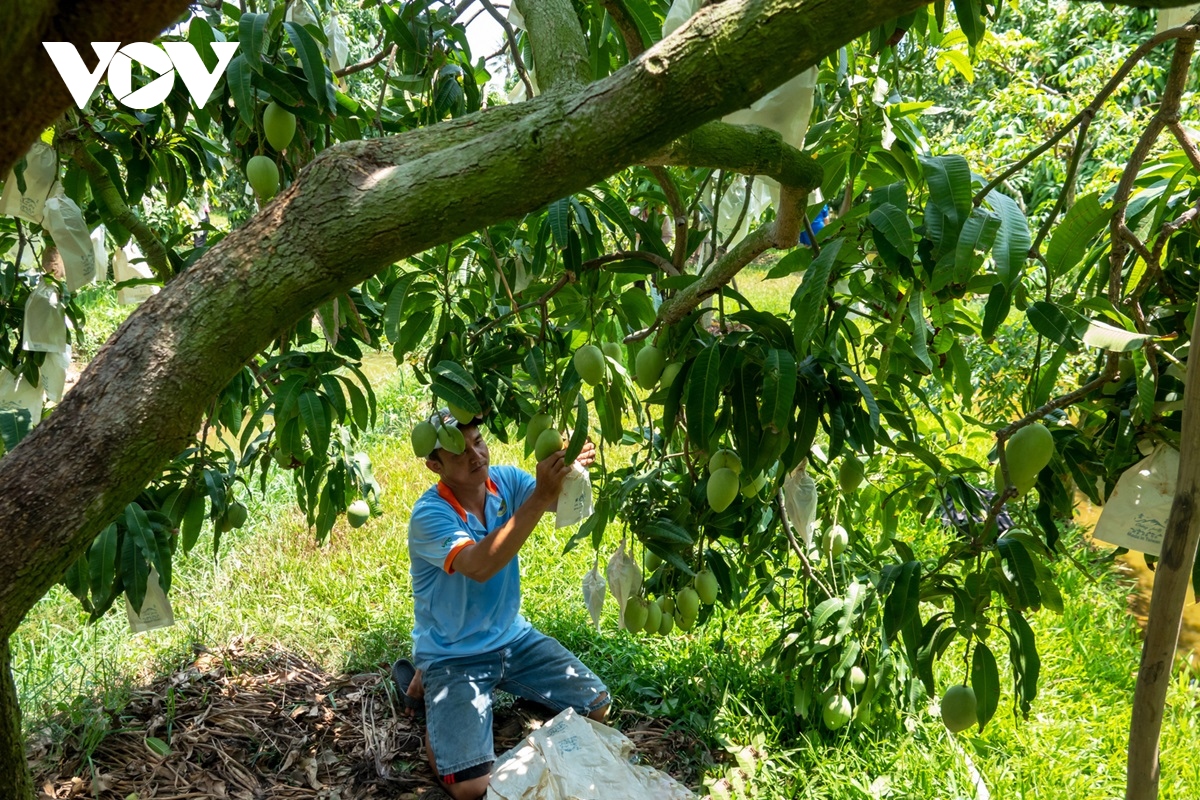 vi sao doanh nghiep chua man ma khi dau tu vao vung Dbscl hinh anh 4