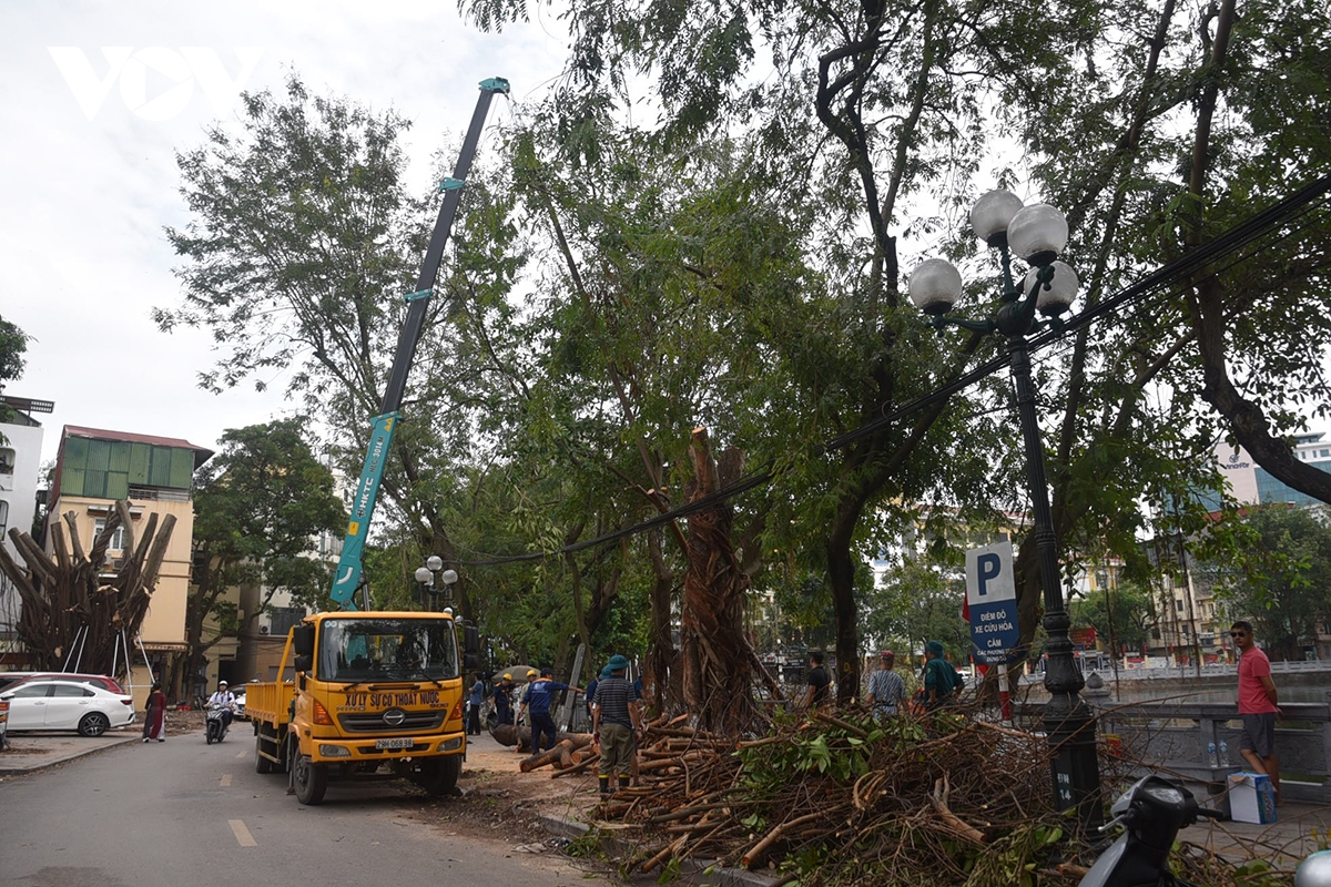 Cận cảnh công nhân trục vớt cây xanh gãy đồ rơi xuống lòng hồ ở Hà Nội