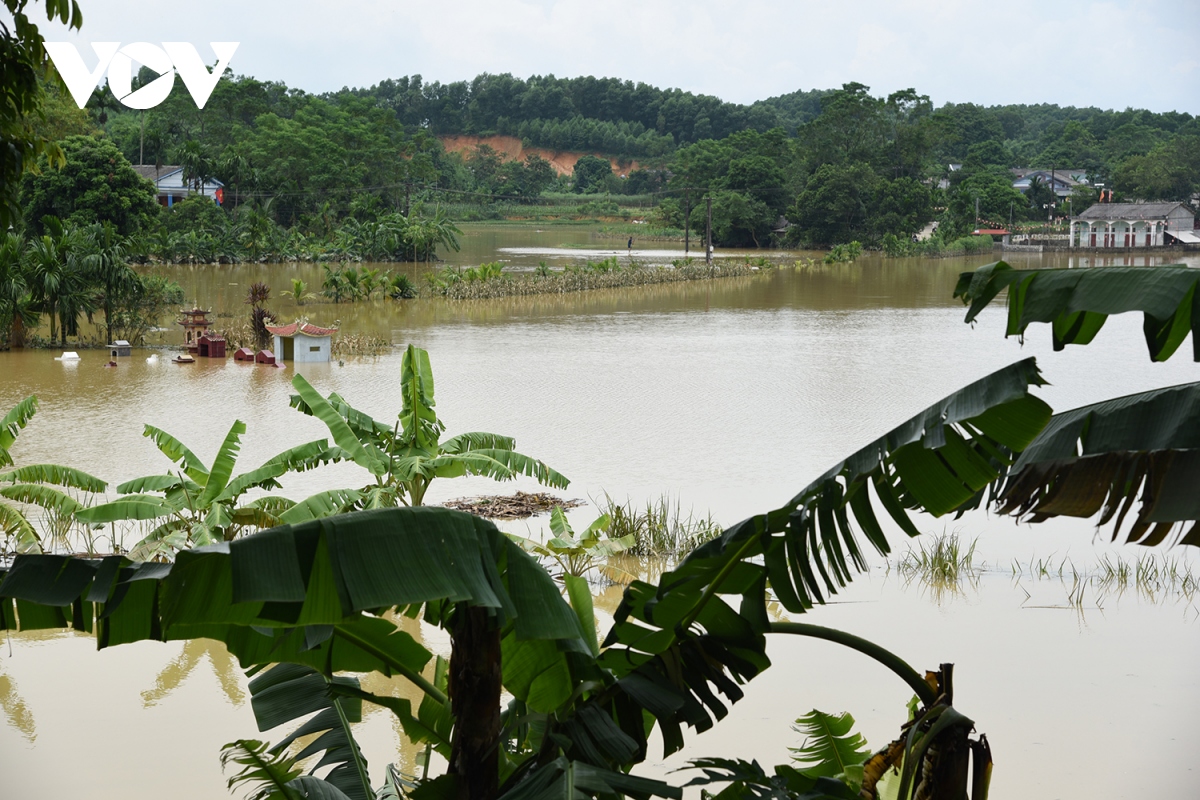 nuoc cao ngap mai nha, duong vao thanh song, 1 xa o phu tho van bi co lap hinh anh 11