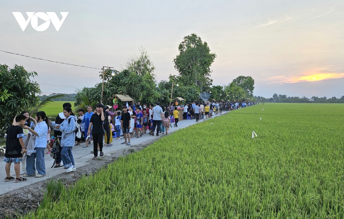 Dong thap trien khai mo hinh du lich trai nghiem he sinh thai nong nghiep hinh anh 3