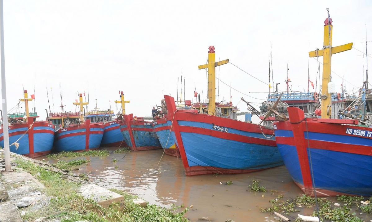 nguoi dan nam Dinh cat tia cay, hoi ha dua tau thuyen vao noi tranh tru bao so 3 hinh anh 14