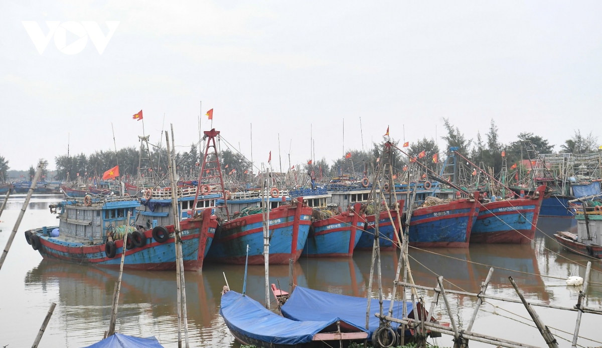 nguoi dan nam Dinh cat tia cay, hoi ha dua tau thuyen vao noi tranh tru bao so 3 hinh anh 2