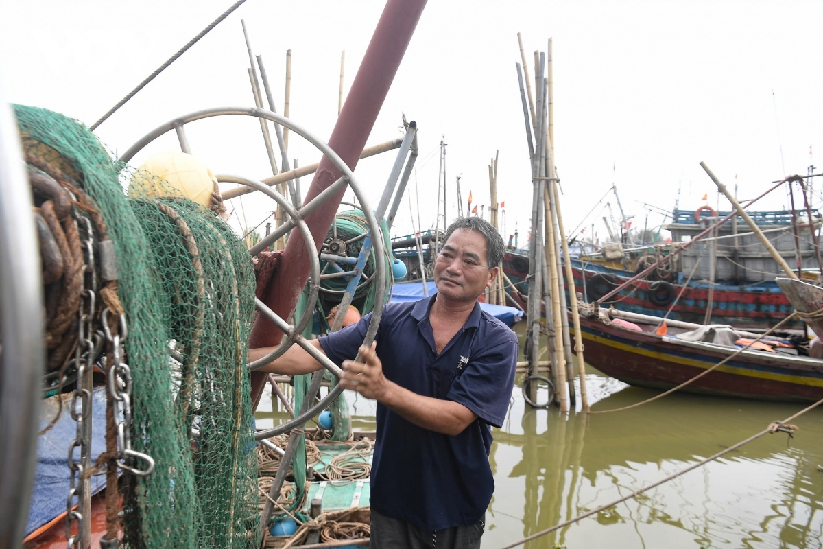 nguoi dan nam Dinh cat tia cay, hoi ha dua tau thuyen vao noi tranh tru bao so 3 hinh anh 4