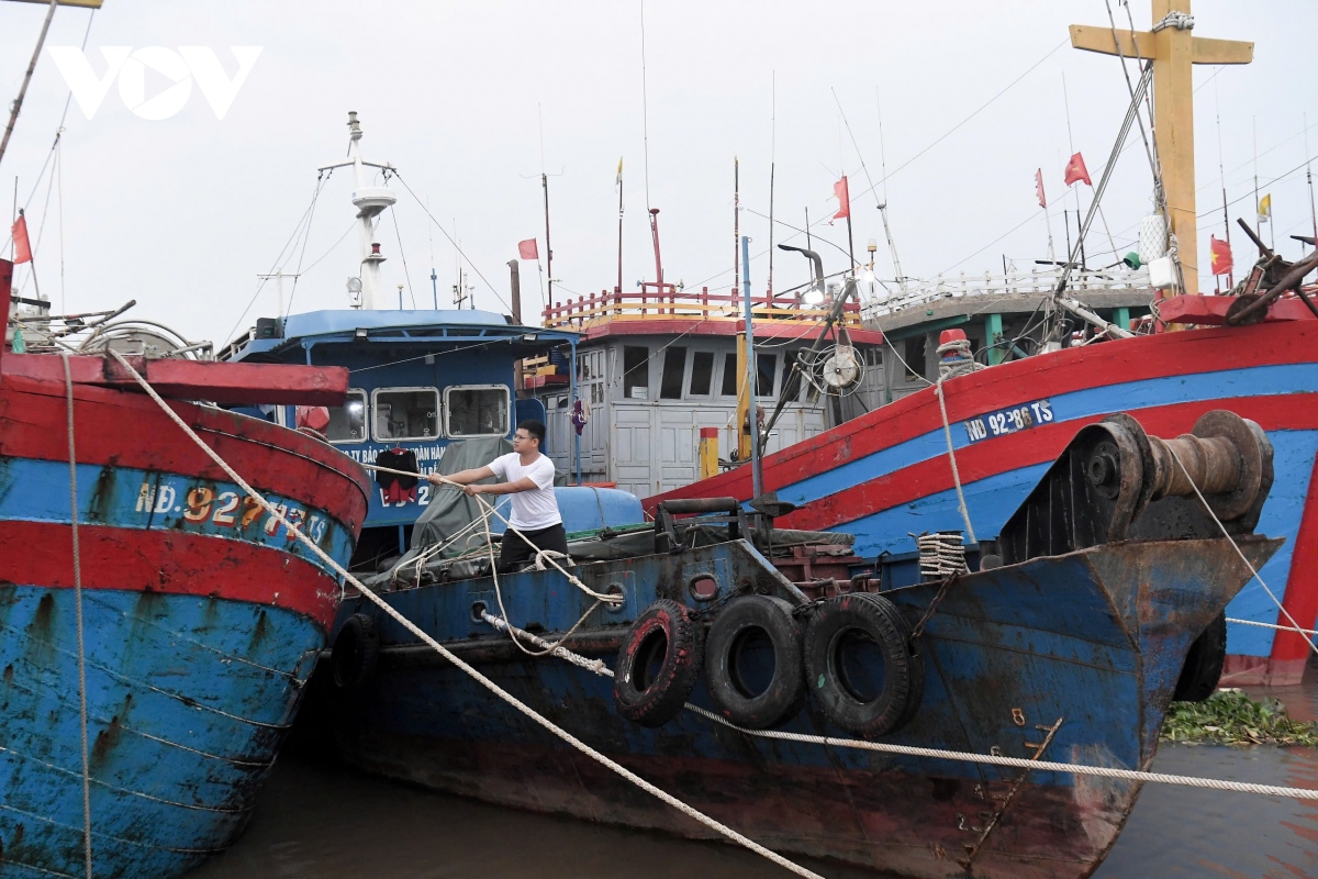 nguoi dan nam Dinh cat tia cay, hoi ha dua tau thuyen vao noi tranh tru bao so 3 hinh anh 7