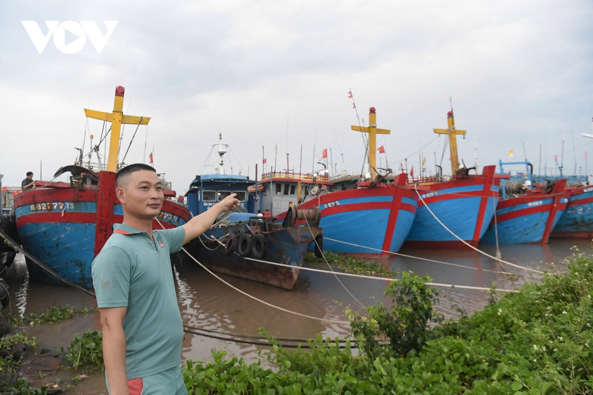 nguoi dan nam Dinh cat tia cay, hoi ha dua tau thuyen vao noi tranh tru bao so 3 hinh anh 9