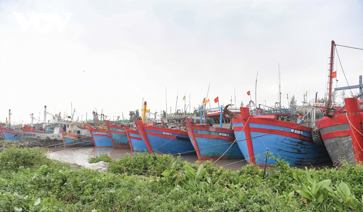 nguoi dan nam Dinh cat tia cay, hoi ha dua tau thuyen vao noi tranh tru bao so 3 hinh anh 8