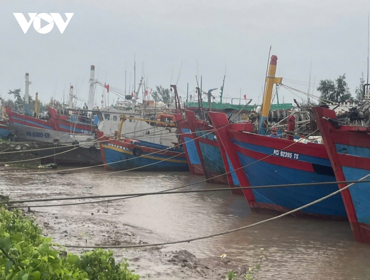 nam Dinh khong de nguoi dan tren tau be, dam bao an toan de khi bao vao bo hinh anh 4