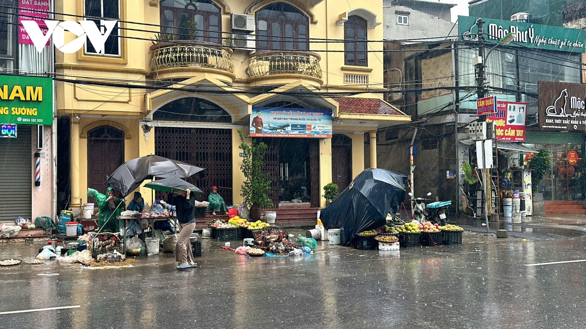 ha noi mua lon, gio giat manh quat do cay, mot so ho dan phai di doi tranh bao hinh anh 5