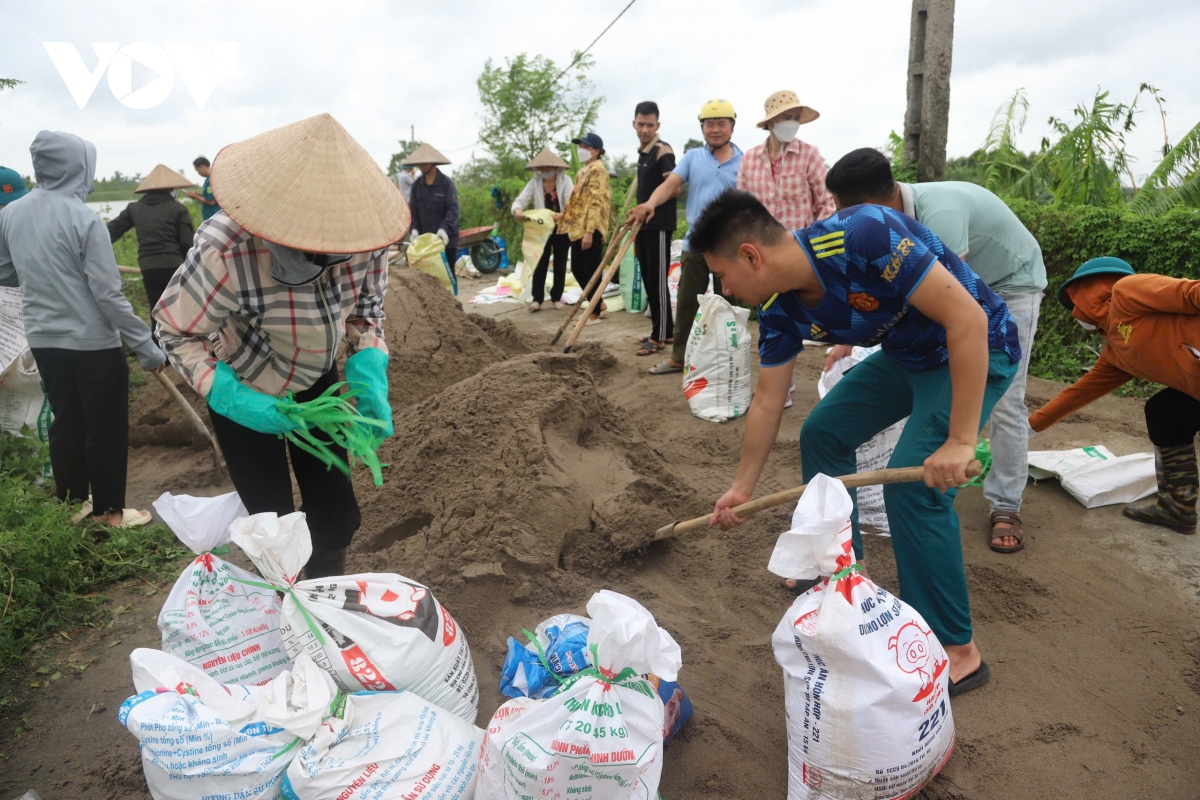 bac ninh gia co de, khac phuc hau qua bao so 3 hinh anh 4