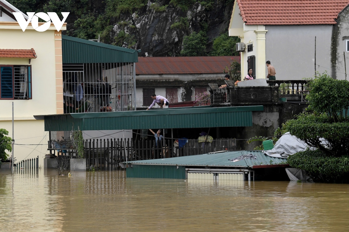 hang nghin ho dan o ninh binh bi ngap nang khi nuoc lu dang cao hinh anh 21