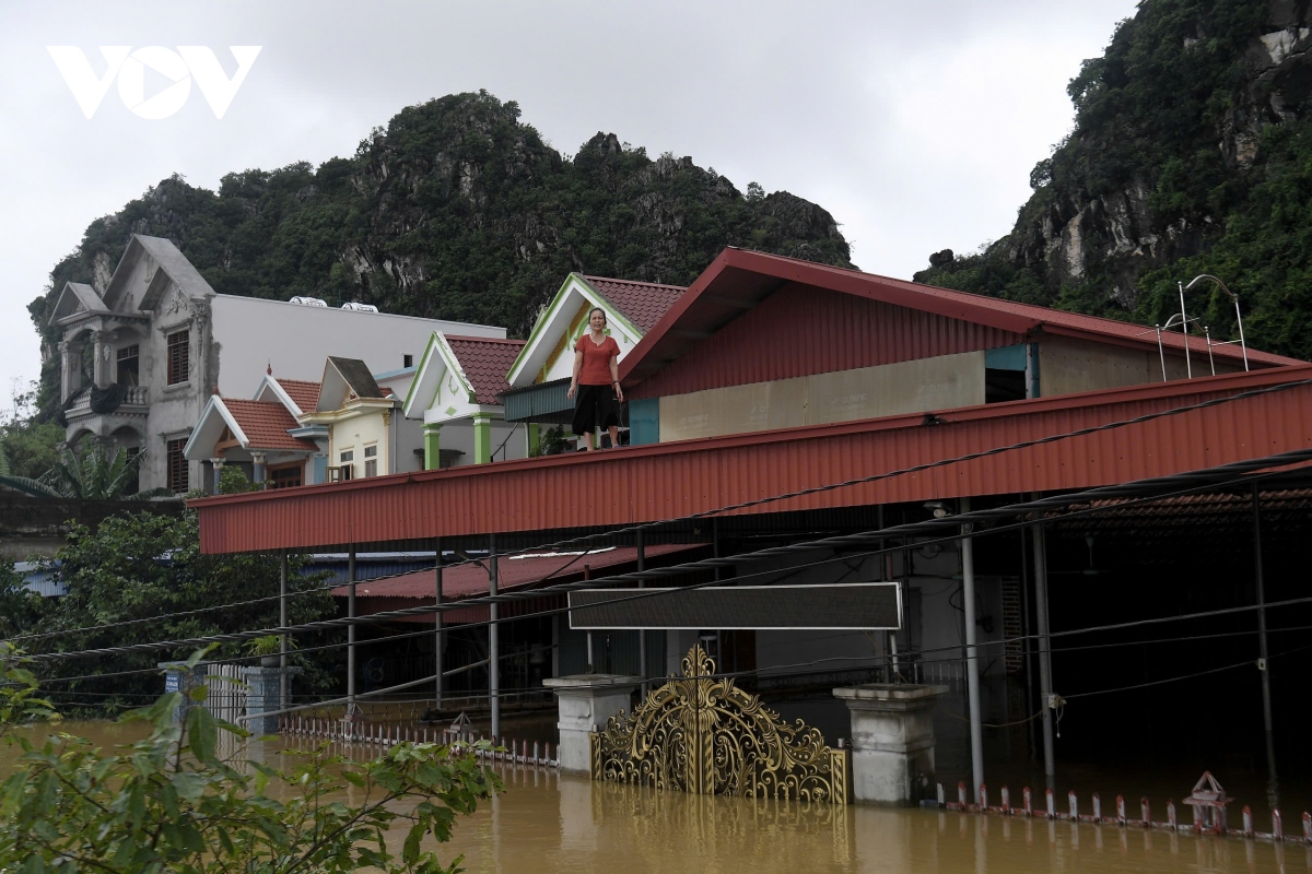 hang nghin ho dan o ninh binh bi ngap nang khi nuoc lu dang cao hinh anh 8