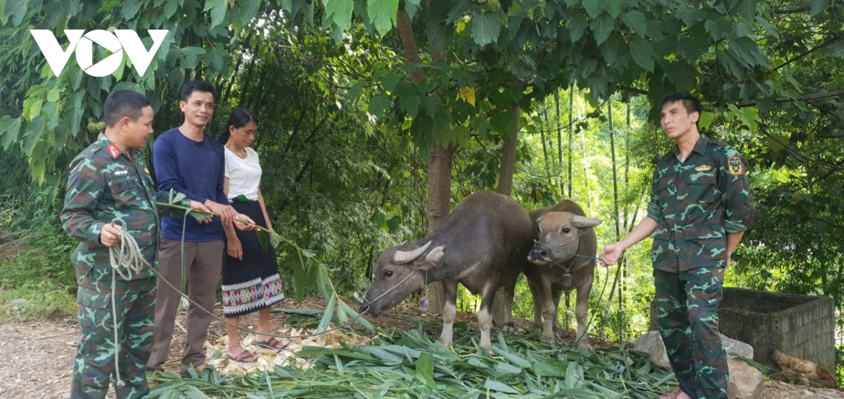 80 nam thanh lap qDnd luc luong vu trang quan khu 4 bam bien gioi yen long dan hinh anh 2