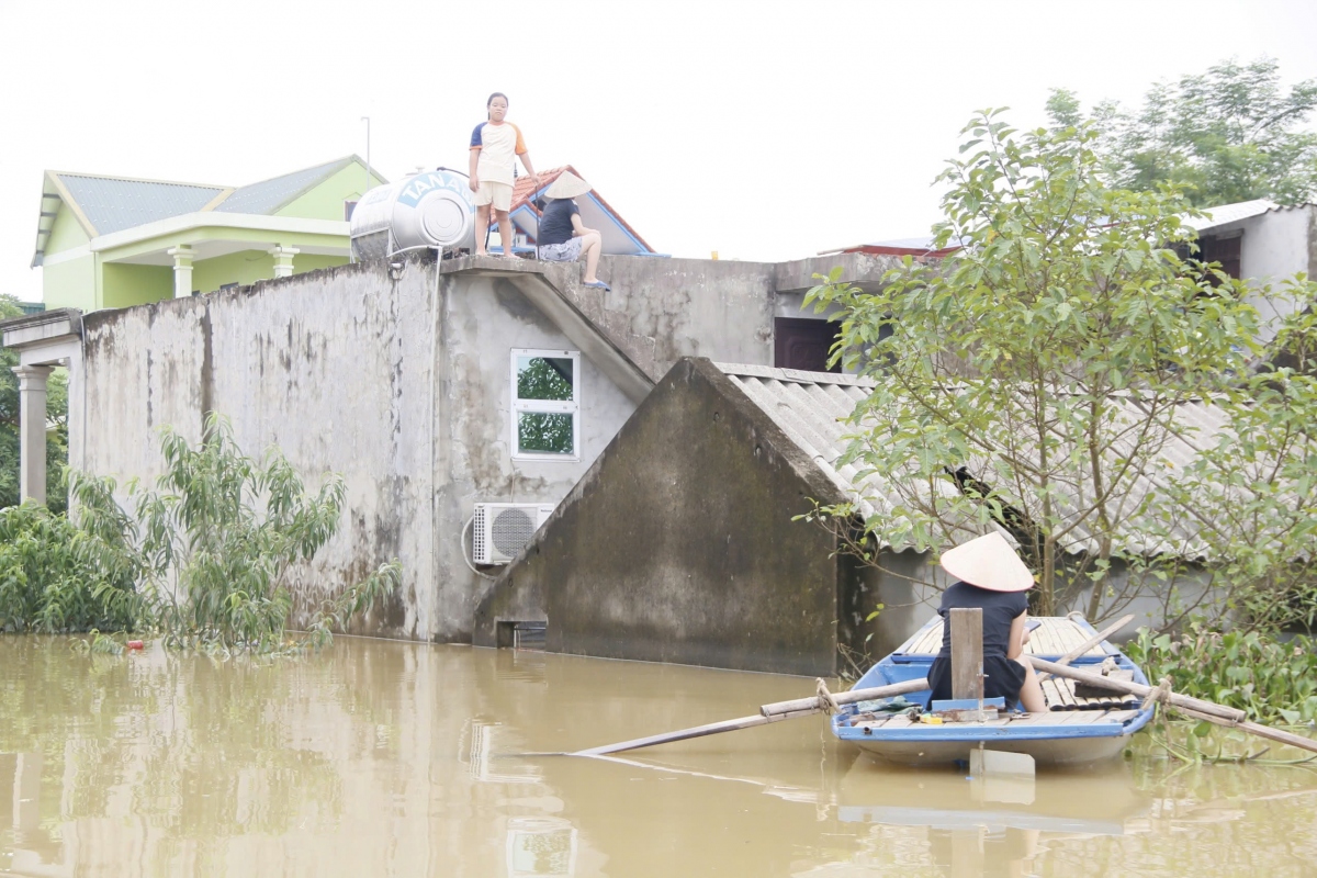 nuoc song hoang long bat dau rut, nhieu noi o ninh binh van chim trong nuoc hinh anh 4