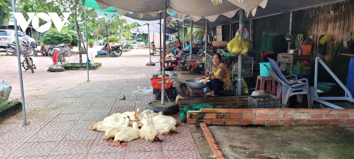 khu dan cu keu troi vi bai rac lo thien gay o nhiem o tien giang hinh anh 5