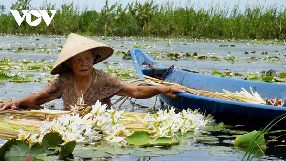 buồn vui mùa nước nổi ở cà mau hình ảnh 10 buon vui mua nuoc noi o ca mau hinh anh 10