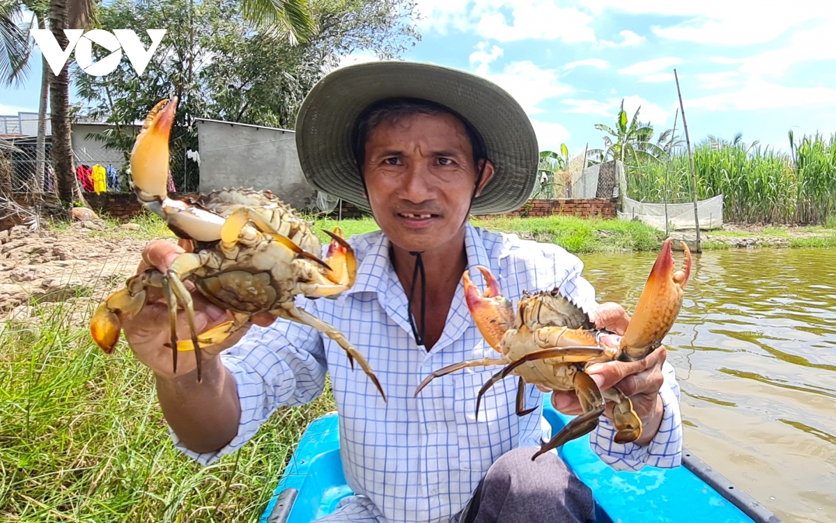 cua ca mau tai sao ngon, ai cung muon thuong thuc hinh anh 11