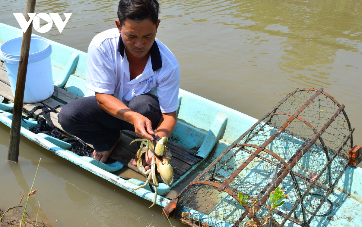 cua ca mau tai sao ngon, ai cung muon thuong thuc hinh anh 13