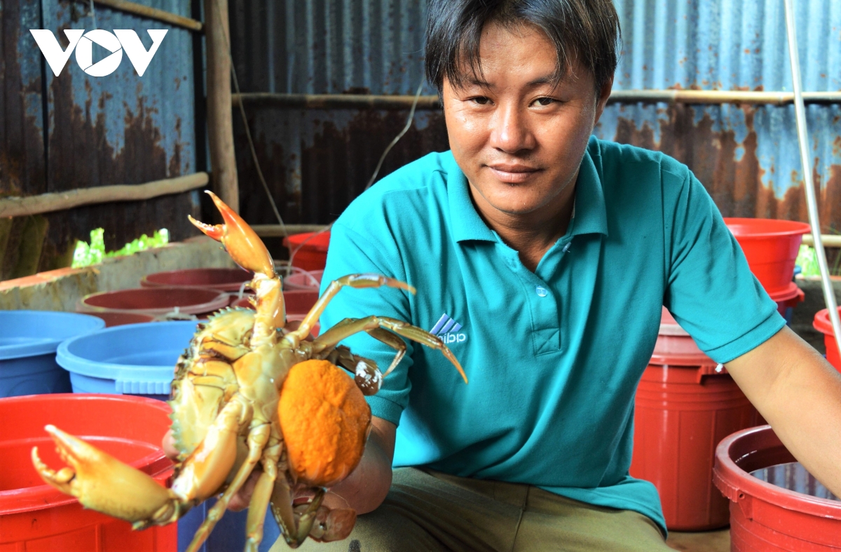 cua ca mau tai sao ngon, ai cung muon thuong thuc hinh anh 14