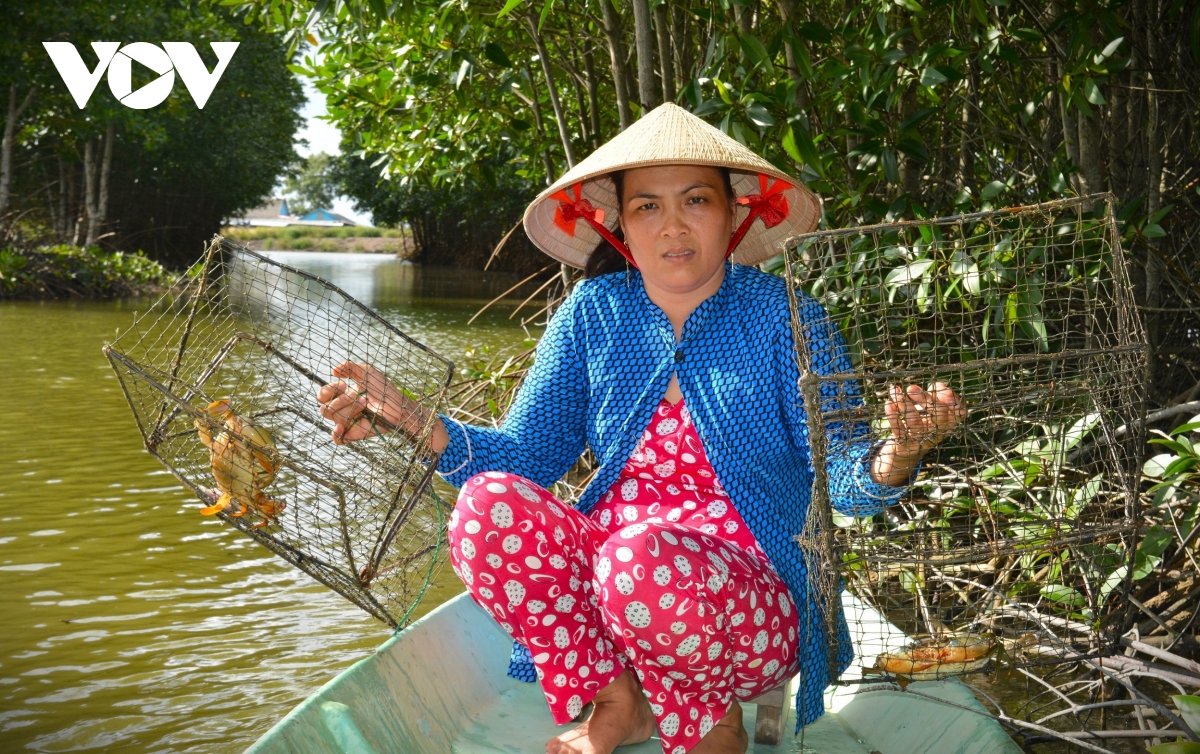 cua ca mau tai sao ngon, ai cung muon thuong thuc hinh anh 1