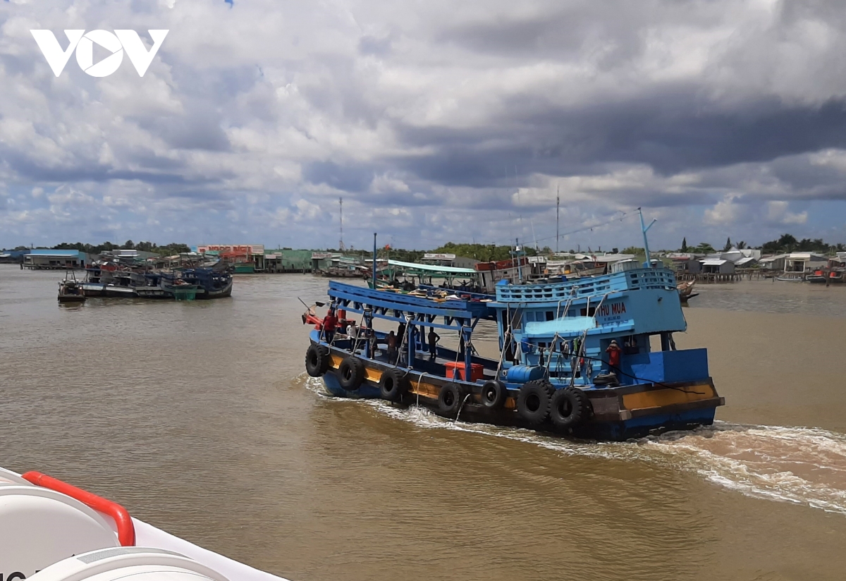 cà mau quản lý tàu cá hiệu quả hơn nhờ phần mềm hình ảnh 1 ca mau quan ly tau ca hieu qua hon nho phan mem hinh anh 1