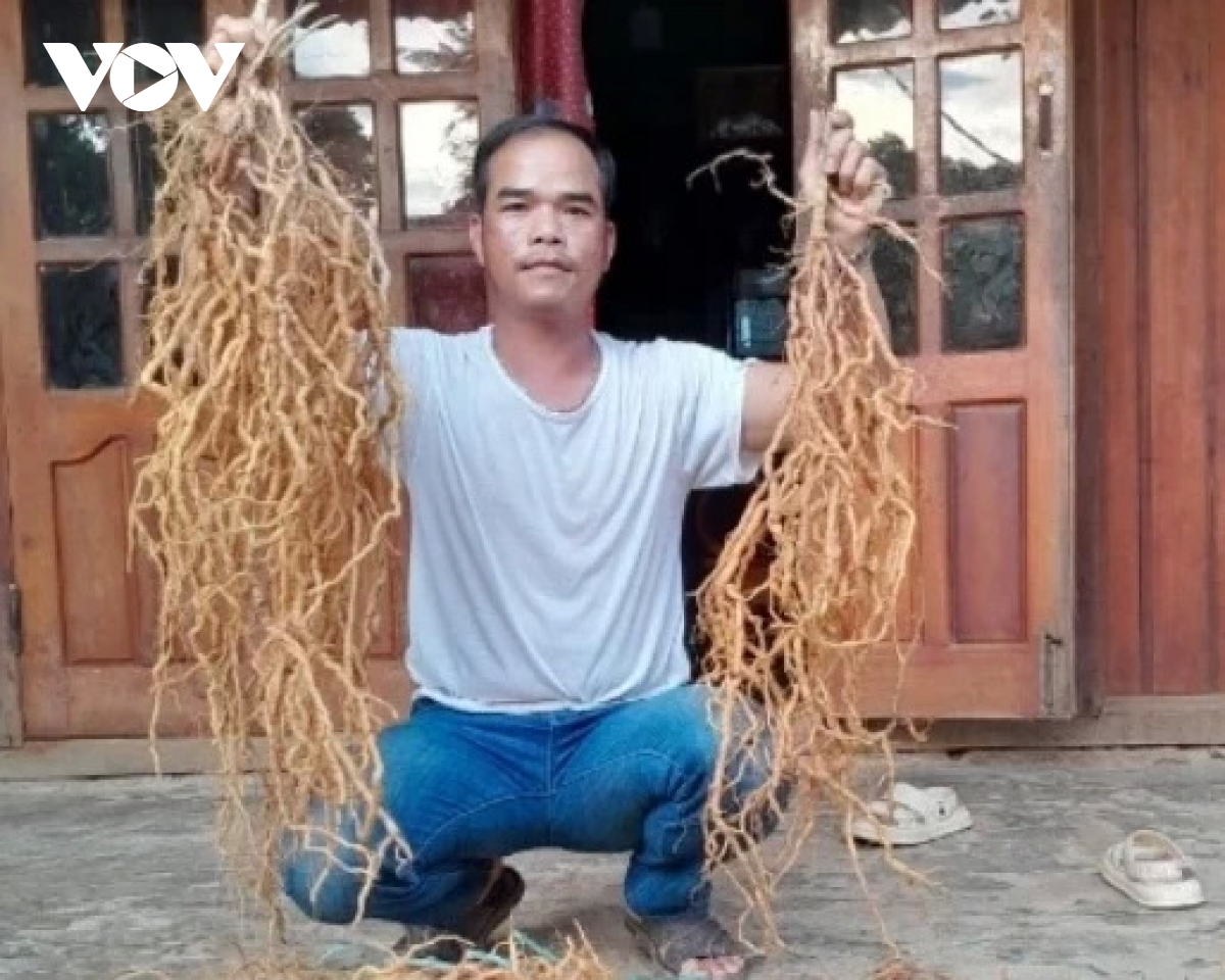 Dang vien o quang nam hat nhan lanh dao trong vung dong bao dan toc thieu so hinh anh 3