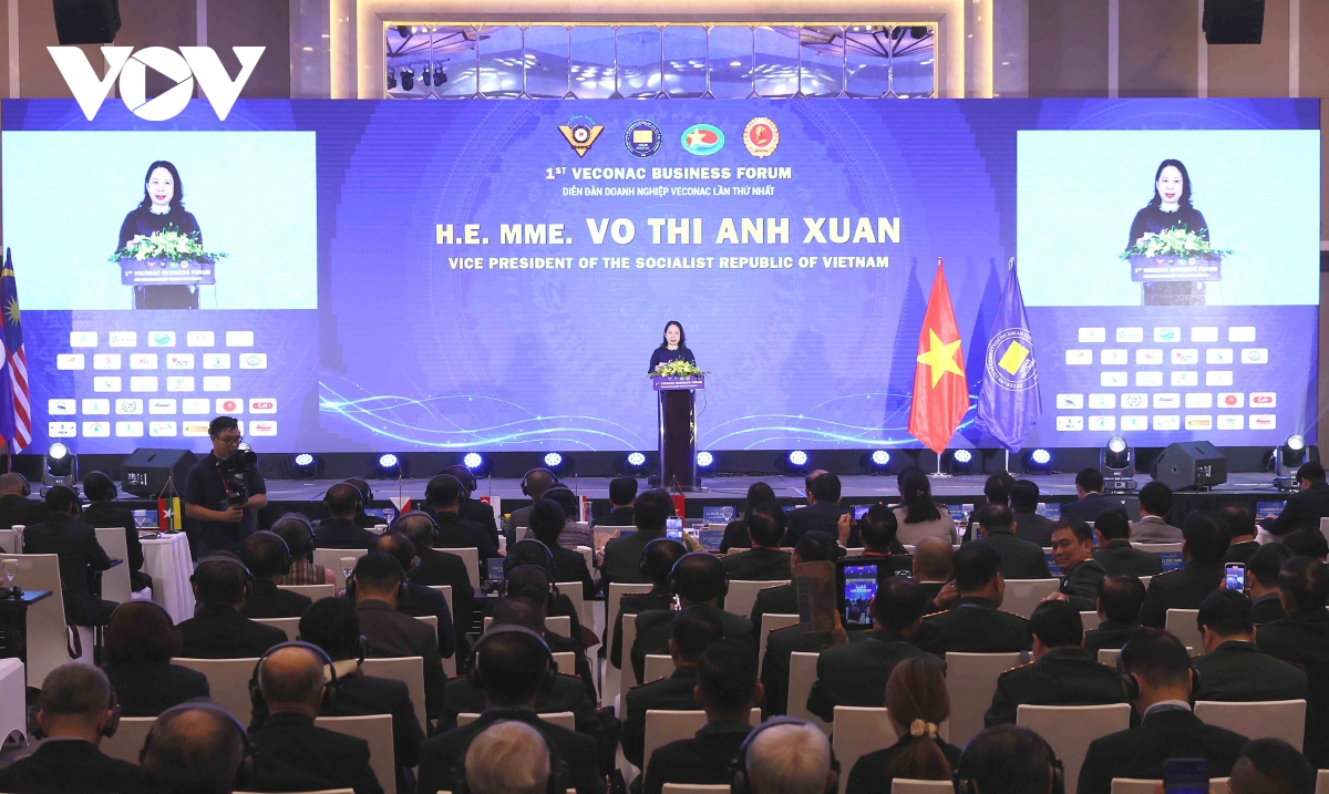 phó chủ tịch nước võ thị Ánh xuân dự diễn đàn doanh nghiệp cựu chiến binh asean hình ảnh 4 pho chu tich nuoc vo thi Anh xuan du dien dan doanh nghiep cuu chien binh asean hinh anh 4