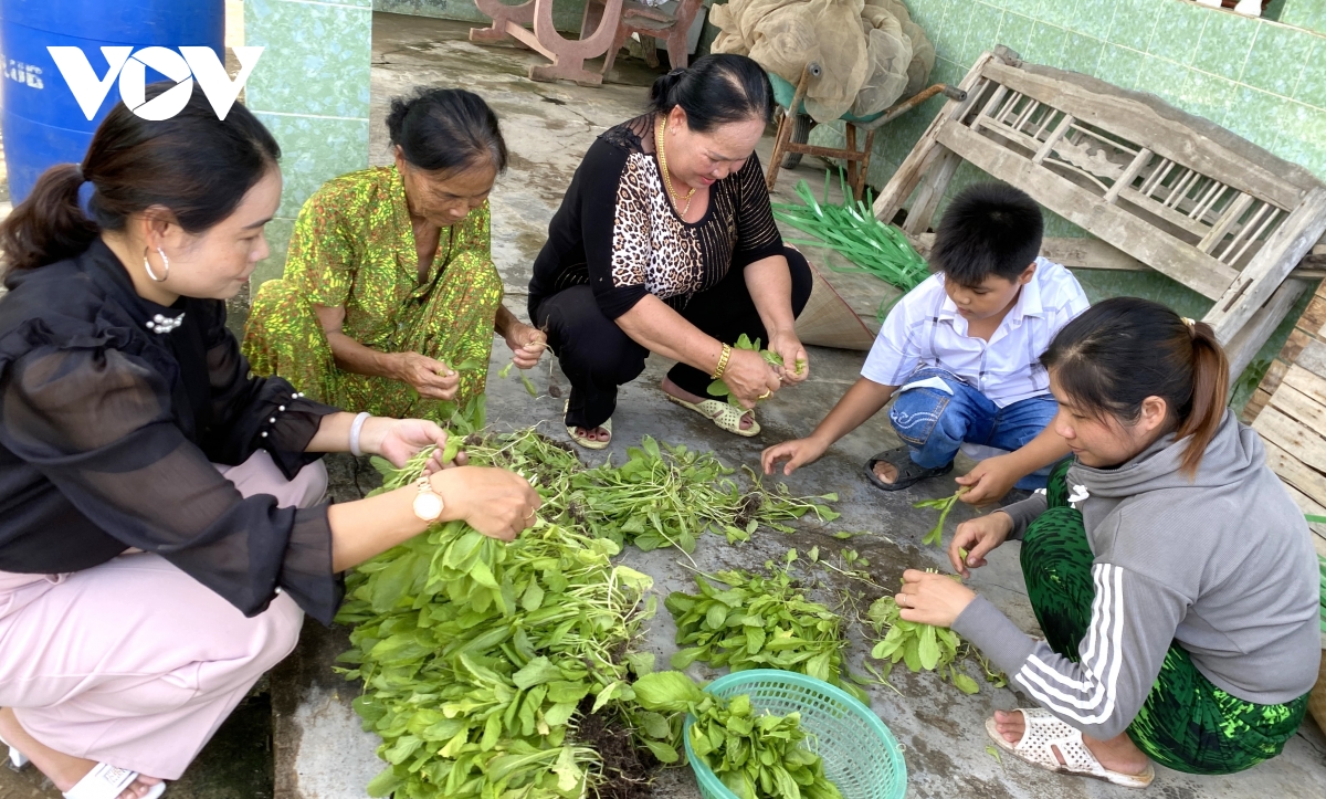 trong mau tren dat man nguoi dan ca mau an rau sach, tham tinh, them tien hinh anh 2